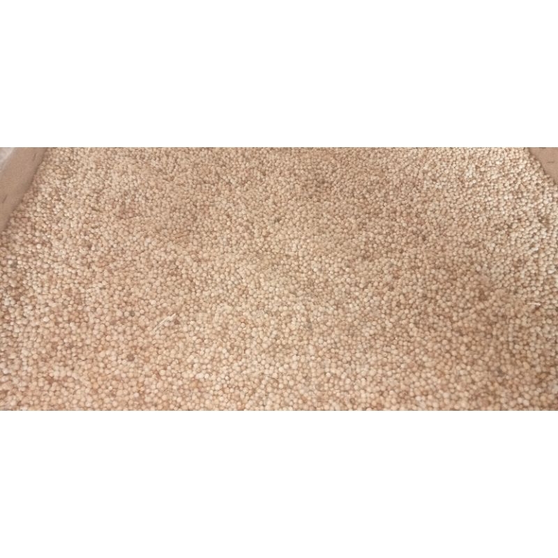 

KETUMBAR|BIJI KETUMBAR|KETUMBAR 1/2 KILO|KETUMBAR SETENGAH KILO|