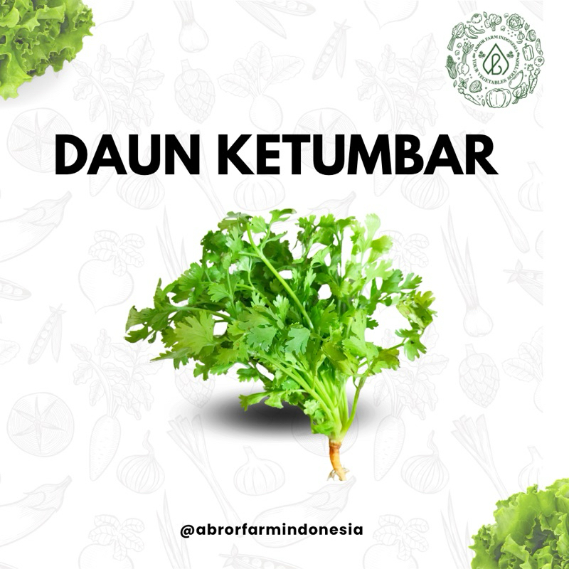 

Daun Ketumbar / Cilantro
