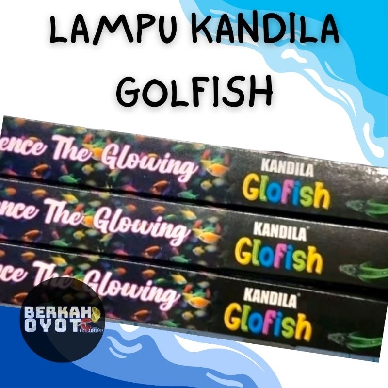 LAMPU CELUP IKAN GLOWFISH KHUSUS GLOWFISH MURAH 20-100 CM