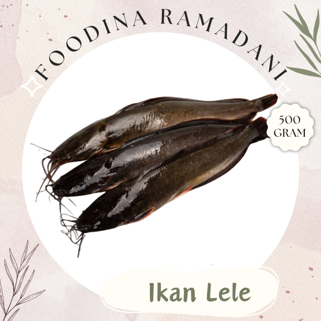 

IKAN LELE Hidup/Mati - CatFish Fresh [ Berat 500gr ] Harga Per 0,5 Kg