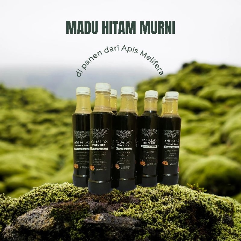 

Madu Hitam Manis