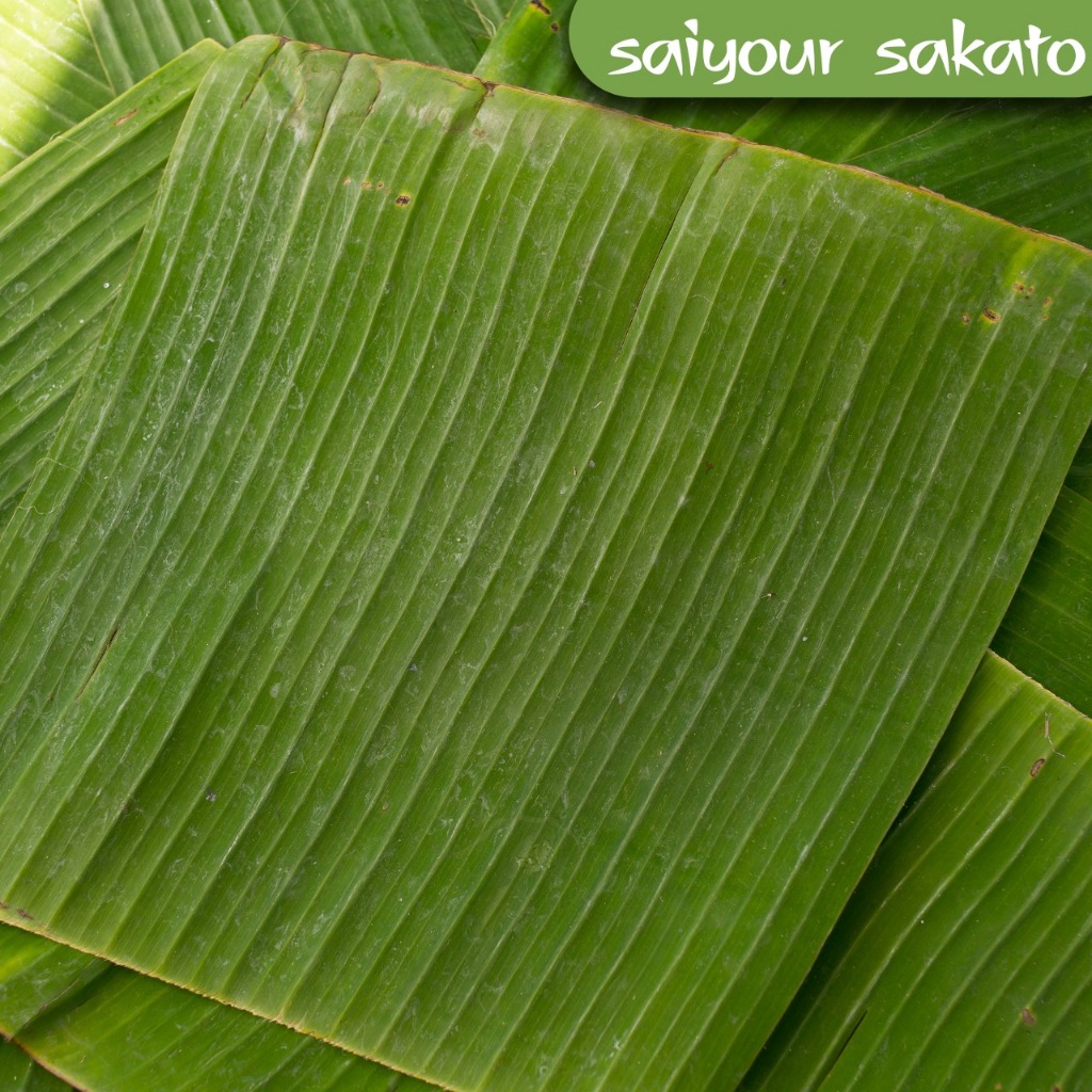 

Daun Pisang Per Ikat - Saiyour Sakato