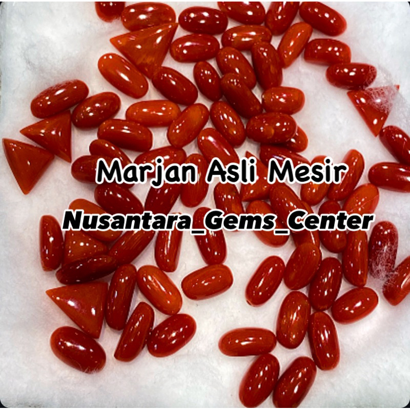 Natural Marjan Mesir Asli Natural Lostun Satuan