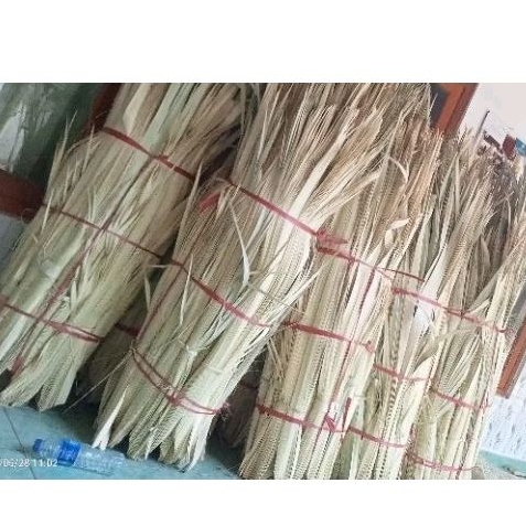 Daun Siwalan / Lontar / Ental / Ibung ( Muda Super) 1 Pucuk Full Utuh