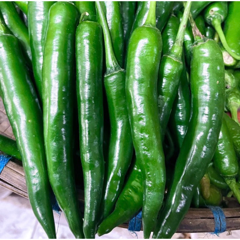 

Cabe Hijau / Cabe hijau besar
