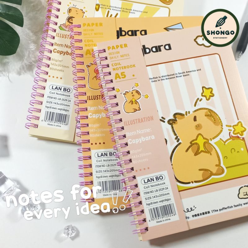 

LAN BO Notebook A5 Spiral Aesthetic | Buku Diary Buku Jurnal Buku Tulis 80 Lembar | LB-24