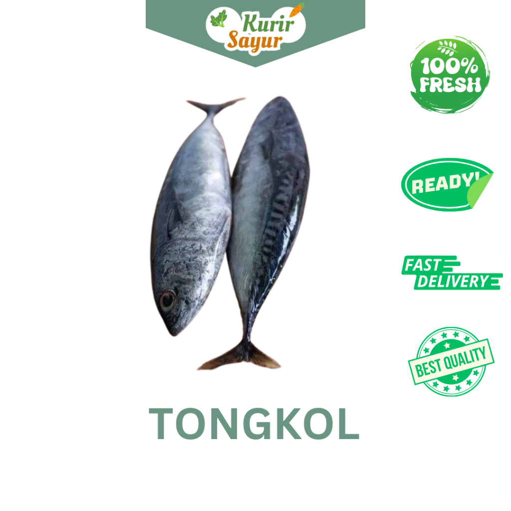 

KURIR SAYUR - IKAN TONGKOL FRESH 1 KG (VACUM)