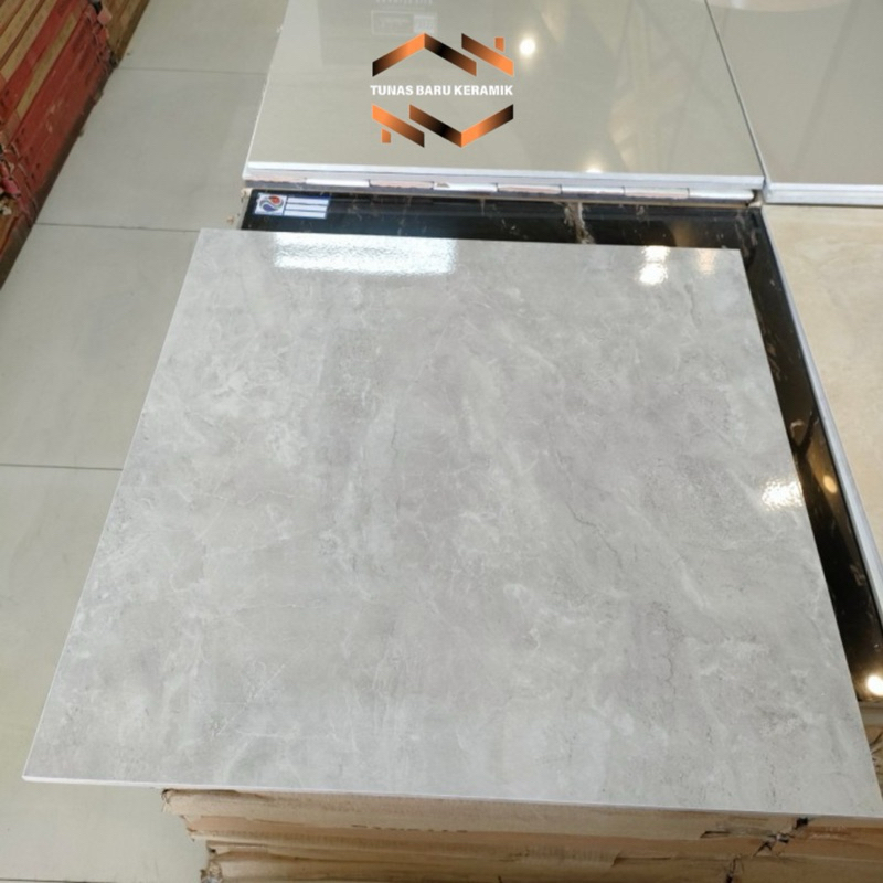 Granit lantai 60x60 arna raveena grey | glazed polished