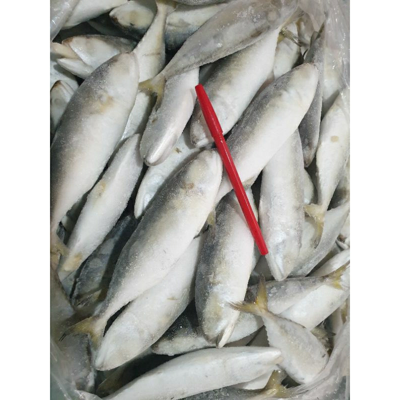 

Ikan Kembung banjar 1kg