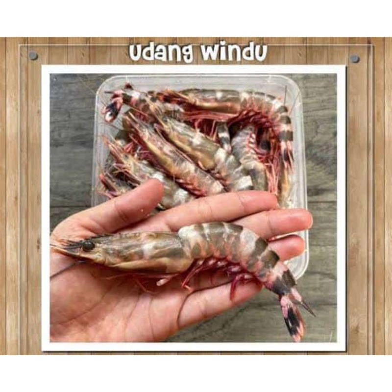 

Udang Windu