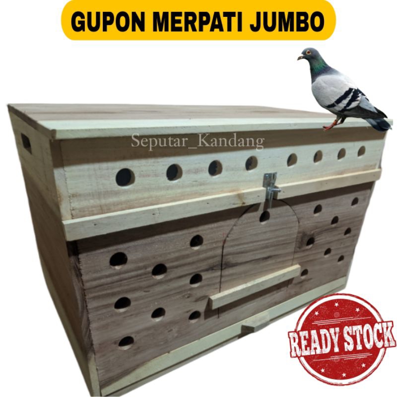 Gupon Merpati Jumbo Kandang Merpati Jumbo Kandang Perjodohan Merpati