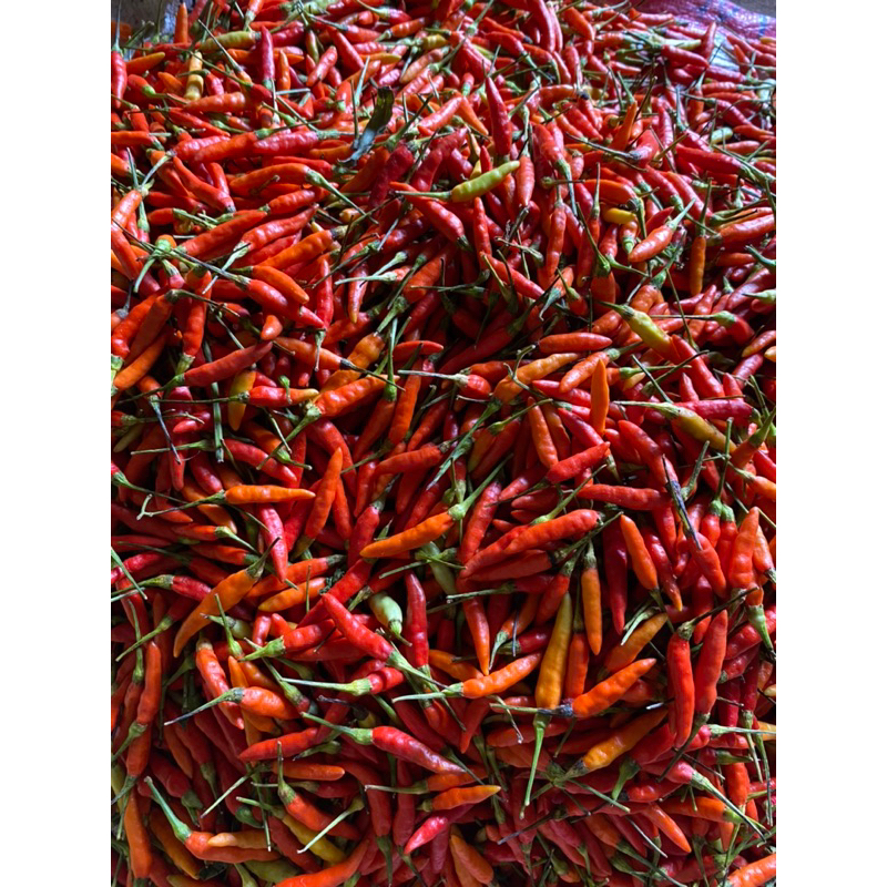 

CABAI RAWIT merah 250gr
