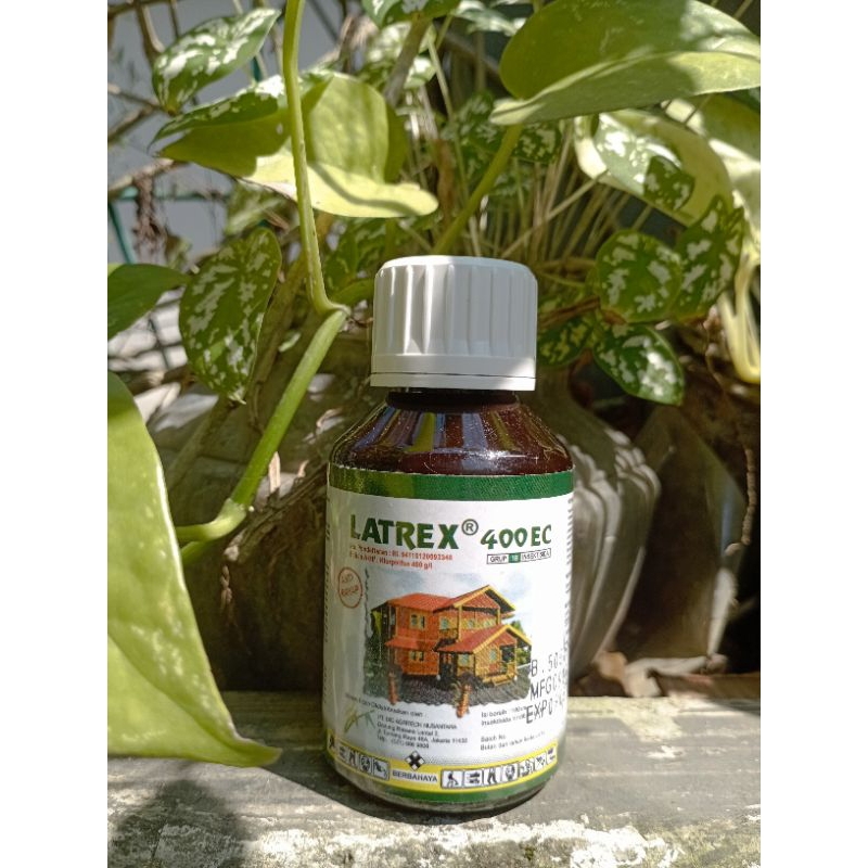Pembasmi Rayap : Latrex 400 EC