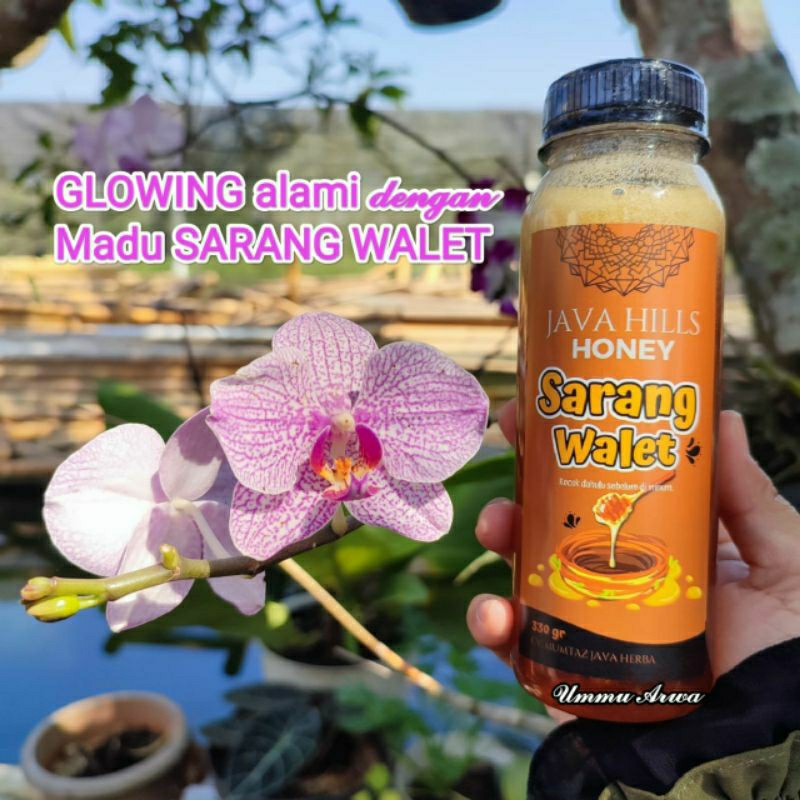 

Madu Sarang Walet(Madu Herbal)ByJavahills (Khusus Live)