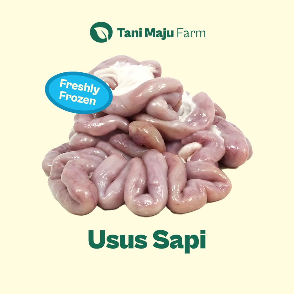

Usus Sapi Iso Fresh (500 gram) - INSTANT / SAMEDAY - Daging Sapi