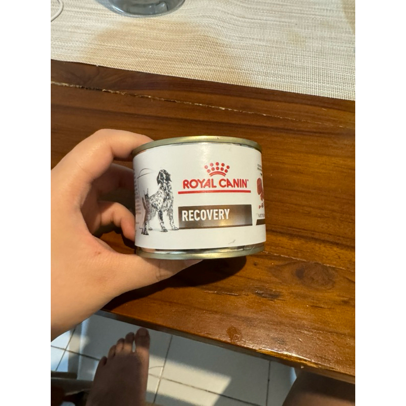 Royal Canin Recovery