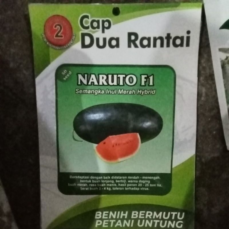 Naruto F1 semangka inul merah hybrid