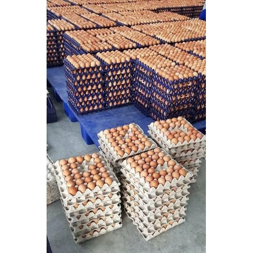 

GRA Telur Ayam Omega 1Kg TERMURAH / 75% Omega