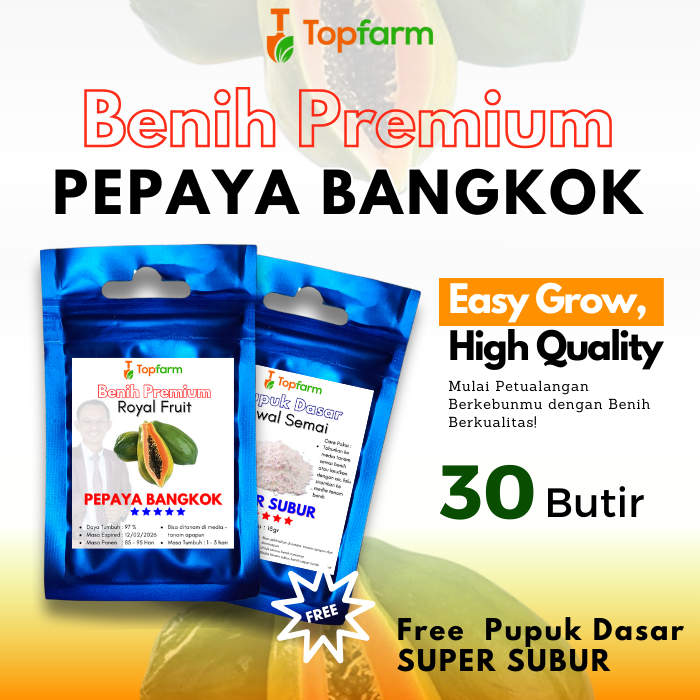 Benih Topfarm / Benih Pepaya Bangkok Jumbo / Benih Pepaya Bangkok Super / Benih Pepaya Bangkok Ecer 