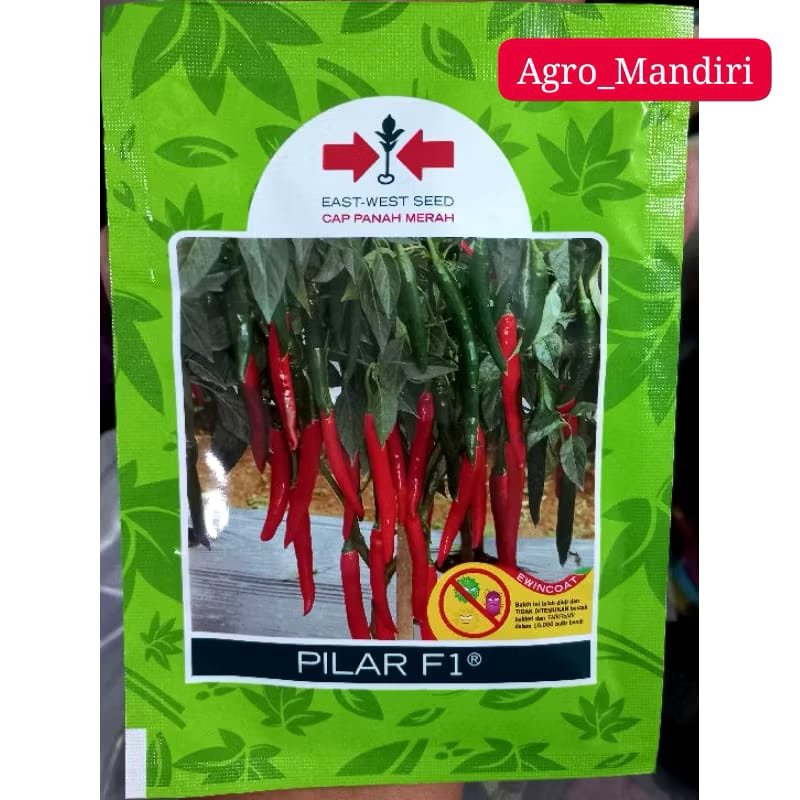 Benih Bibit Cabe Merah Besar PILAR F1 isi 1500 biji cap panah merah