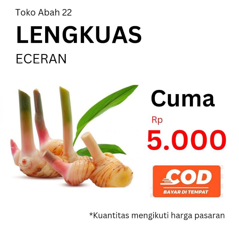 

LENGKUAS ECERAN CUMA 5.000