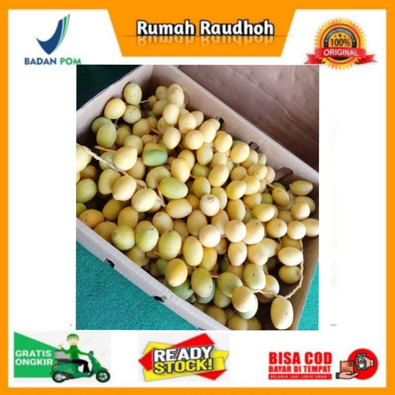 

KURMA MUDA 1 KG - KURMA UNTUK PROMIL FRESH ORIGINAL