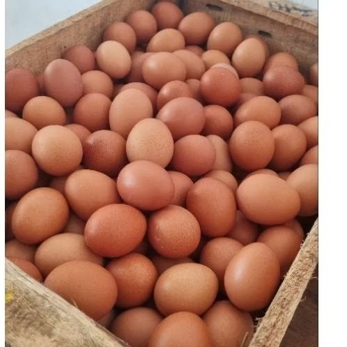 

Telor Ayam Negeri kiloan (Instant)