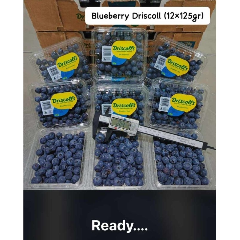 

blueberrys driscoll's aus berat 125 grm/ pac