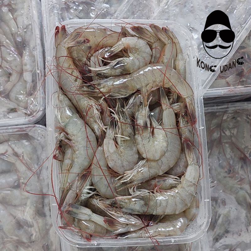 

Kong Udang Vaname Shrimp Udang 500g