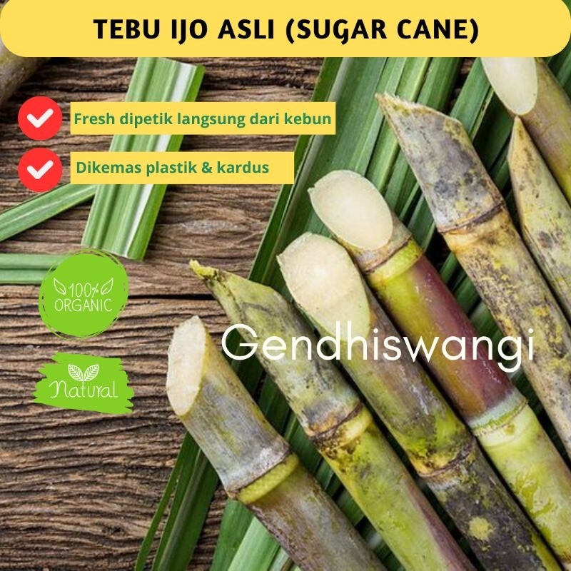 

GENDHISWANGI-TEBU IJO ASLI KEDIRI (FRESH LANGSUNG DARI KEBUN)