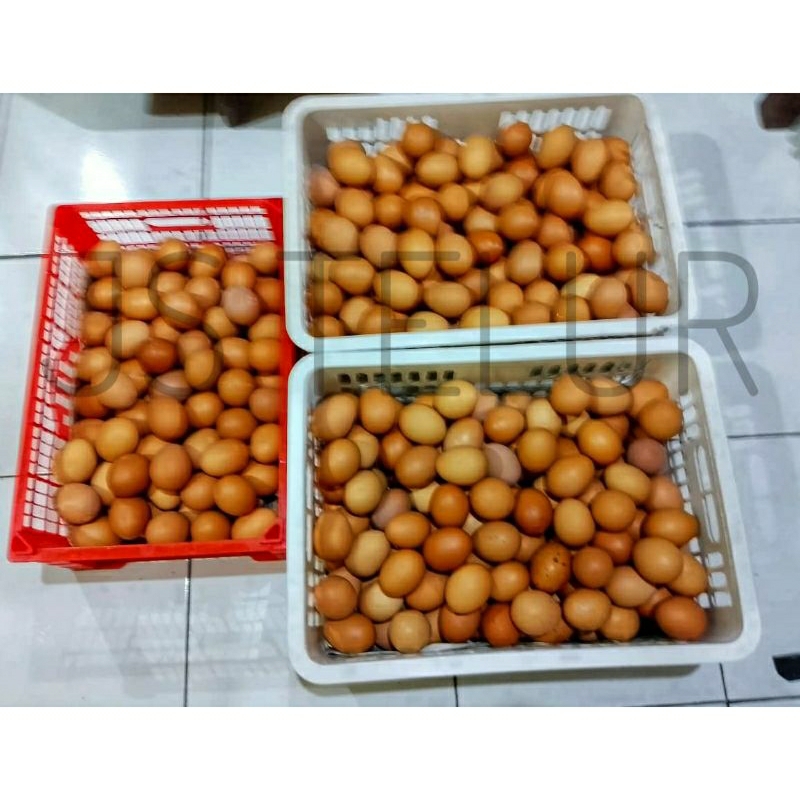 

Telur ayam negeri ukuran kecil 1kg isi 18-22 butir langsung kirim/instan