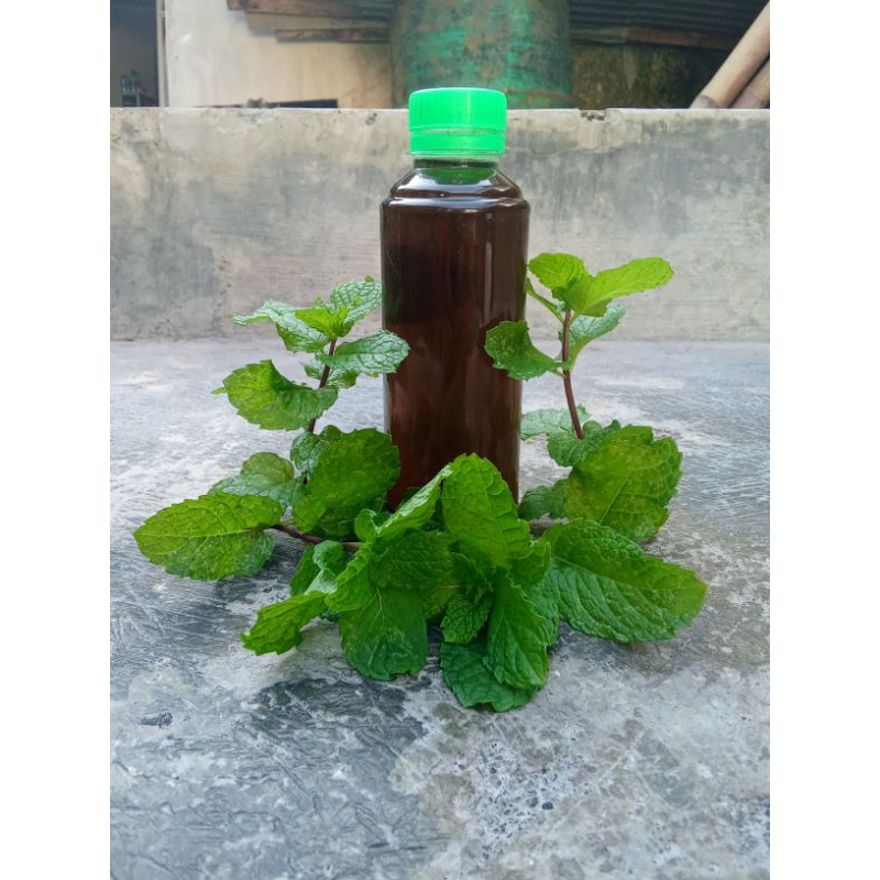 

teh_mint