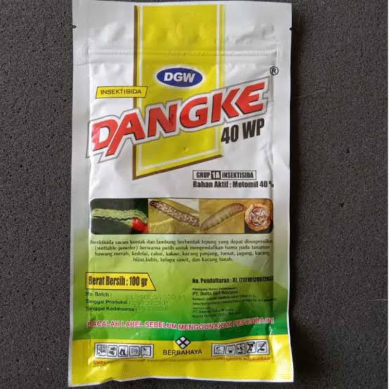 DANGKE 100g