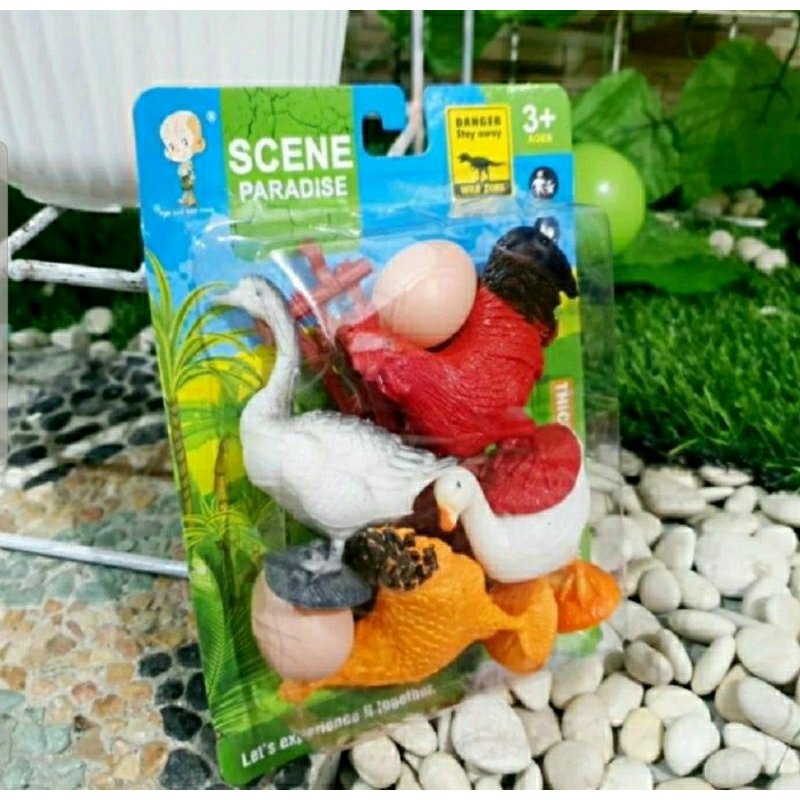 MAINAN SET UNGGAS ANAK EDUKATIF - MAINAN HEWAN ANAK