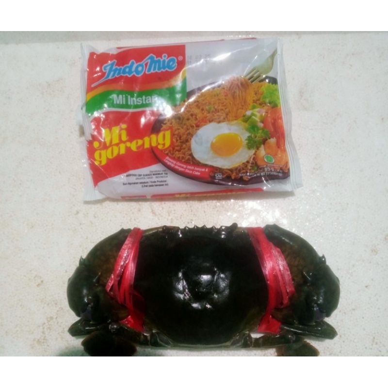 

Kepiting Idup Size Jumbo 1kg(isi,3/4ekor)