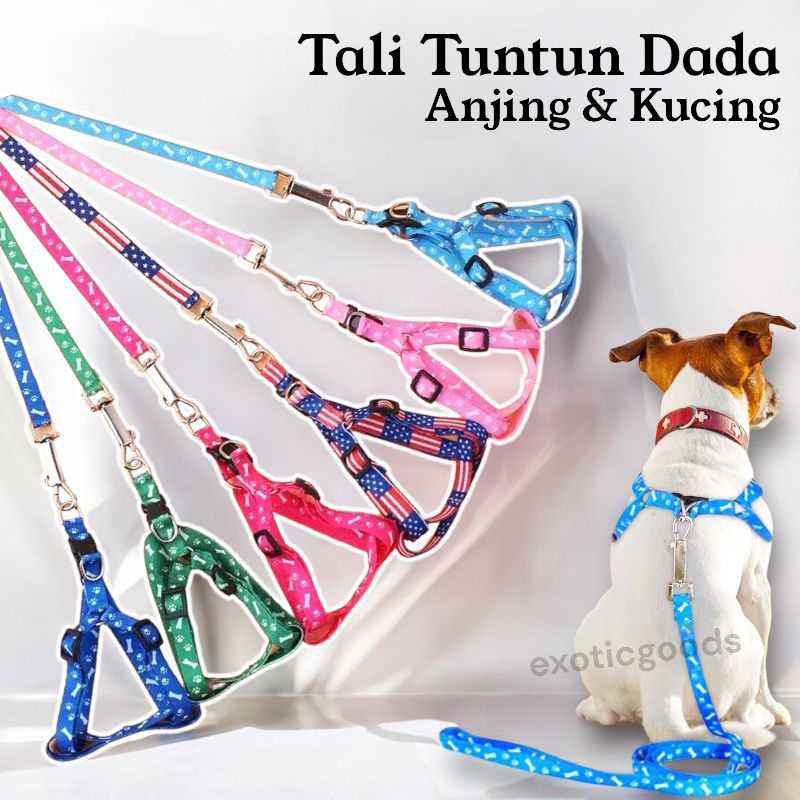 TALI TUNTUN DADA ANJING HARNESS KUCING HARNESS Y DADA TALI TUNTUN HEWAN HARNES KUCING HARNES ANJING
