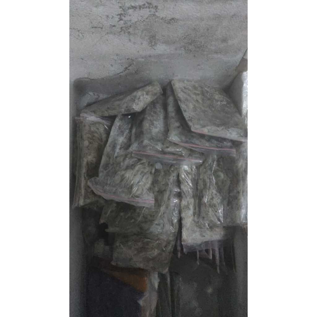 udang beku pakan ikan predator fresh