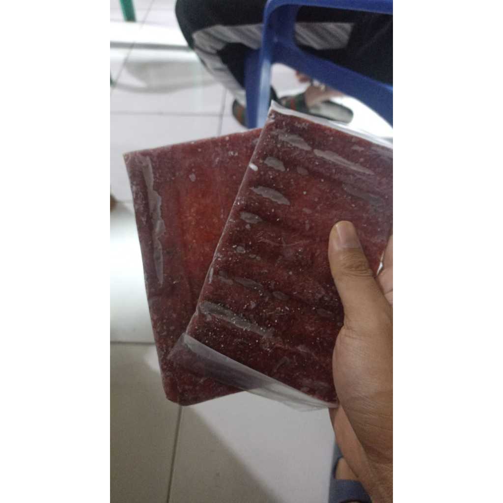 cacing beku bloodworm lempeng