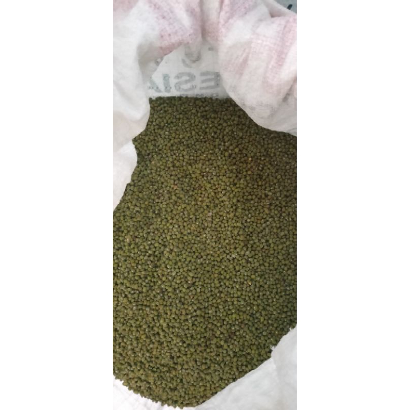 

kacang ijo langsung dari petani