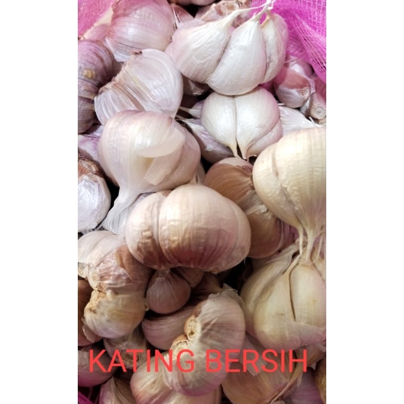

RB Bawang Kating SUPER 5 Dan 10 Kg