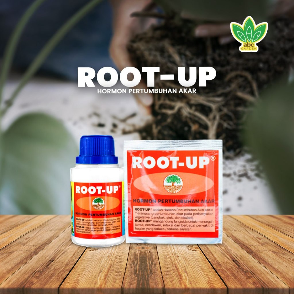 Root-Up Hormon Pertumbuhan Akar
