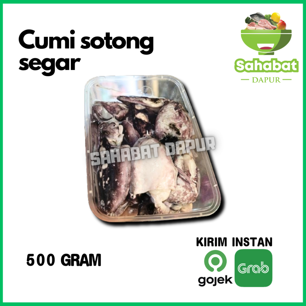 

Cumi Sotong 500gr Free Box - Sahabatdapur