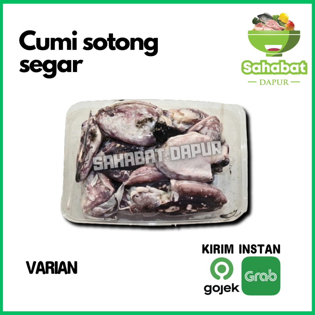 

Cumi sotong Segar - Sahabatdapur