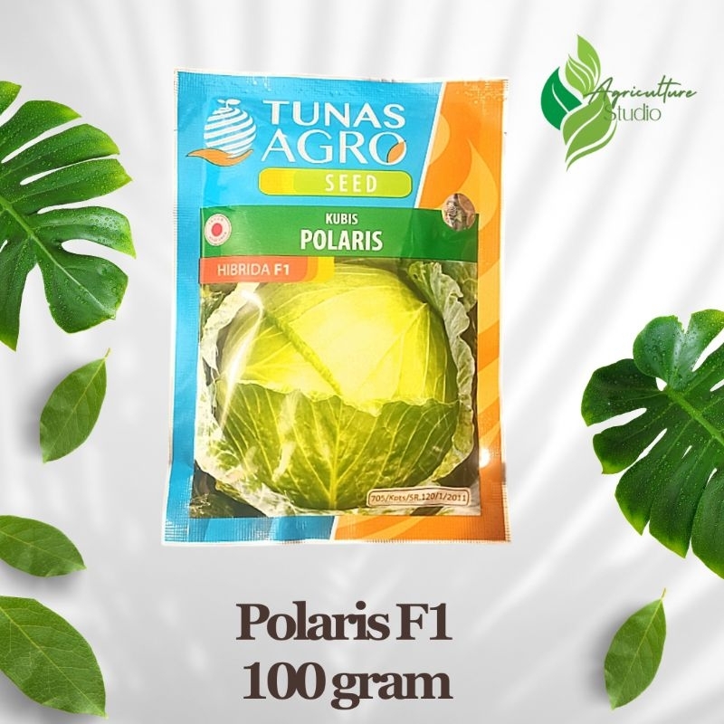 Benih Kubis Polaris F1 100Gram