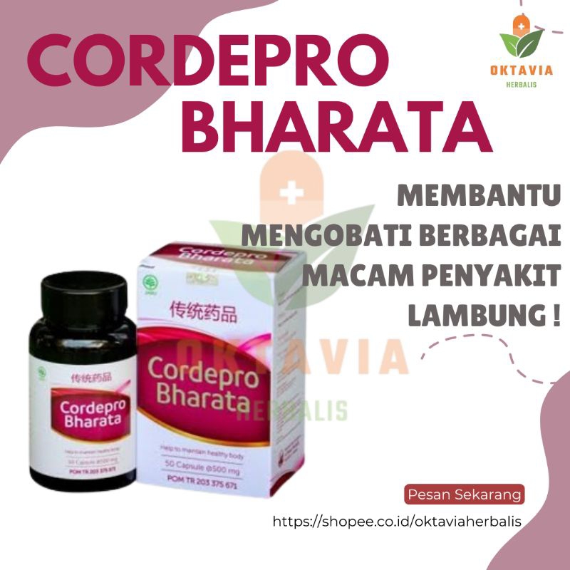 TERBAIK CORDEPRO BHARATA ASLI ORIGINAL BPOM