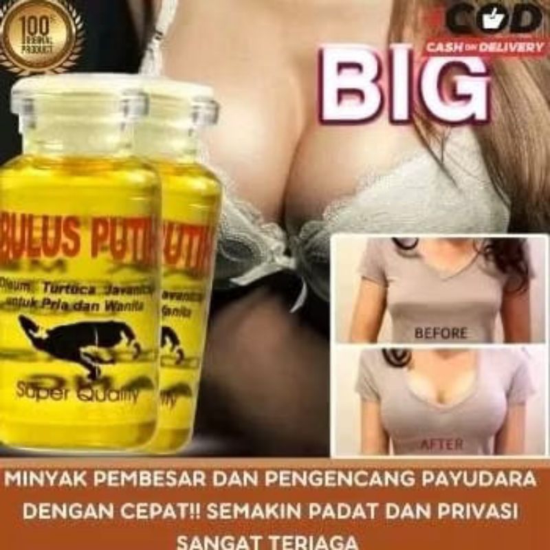 MINYAK BULUS PUTIH PEMBESAR PAYUDARA PENGENCANG PAYUDARA PENGHILANG BEKAS LUKA MINYAK BULUS ORIGINAL