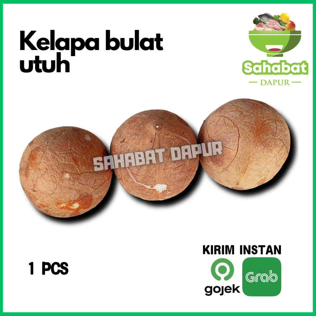 

Kelapa Utuh Bulat 1 Buah / Buah Kelapa /Kelapa Parut / Kelapa Santan - Sahabatdapur