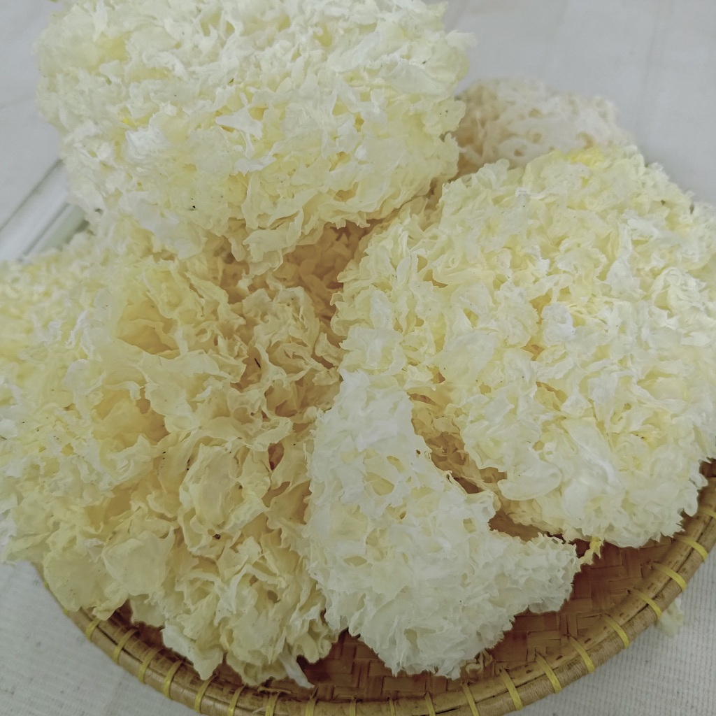 

Jamur Putih Salju 500gr / Jamur Es / Bai Mu Er / Yin Er / Snow White Fungus / Bahan Peach Gum Dessert