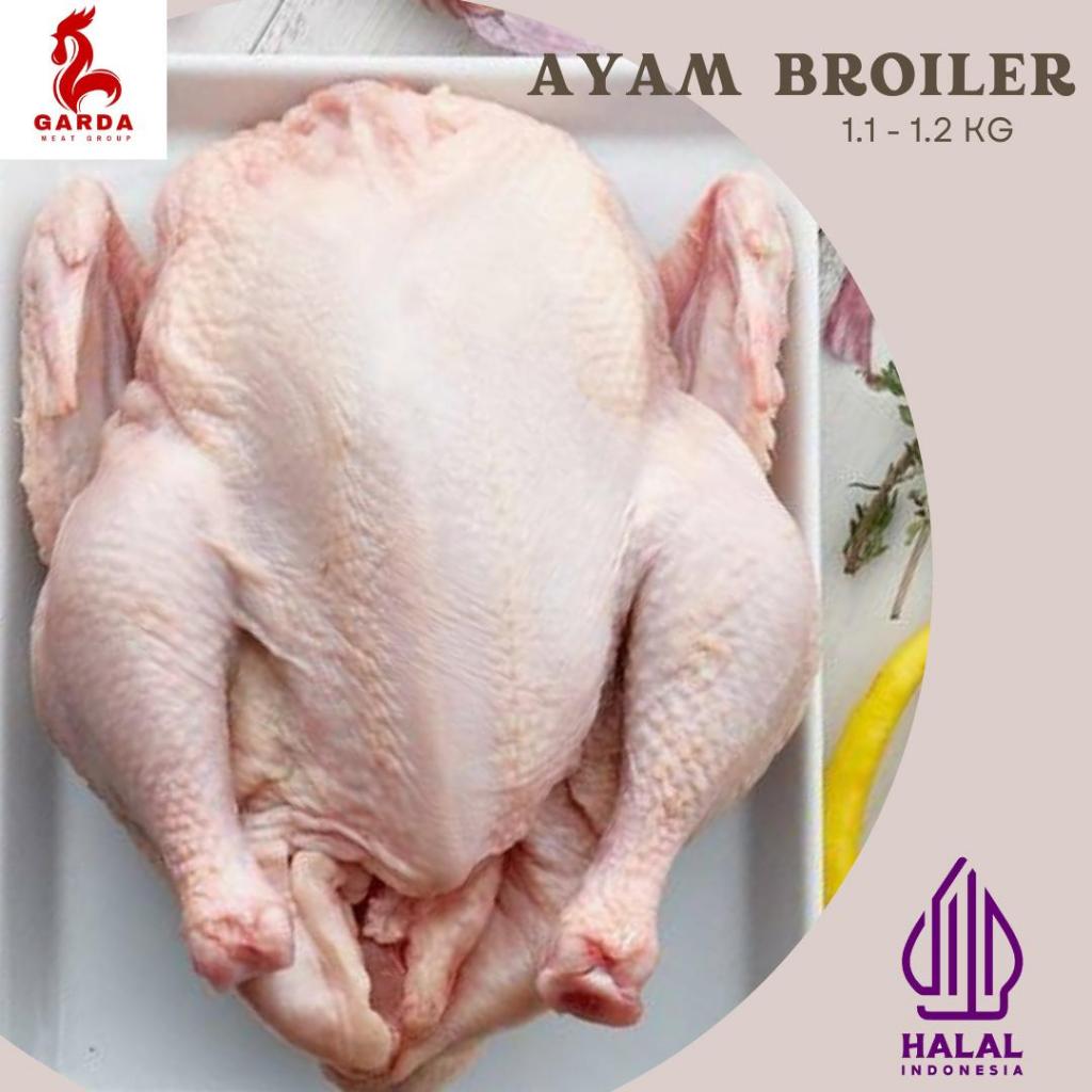 

Ayam Broiler Karkas Fresh Frozen Utuh 1.1-1.2kg