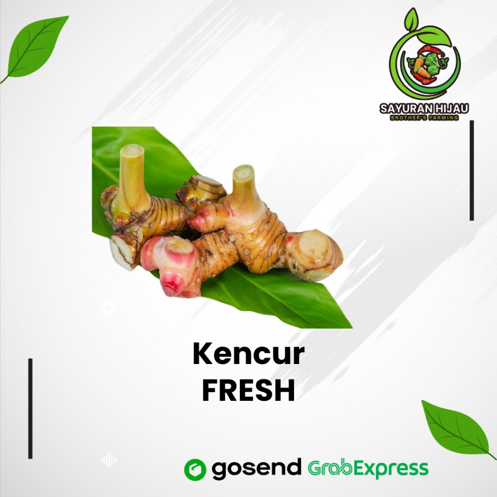 

Kencur Fresh Segar Berkualitas 250gr
